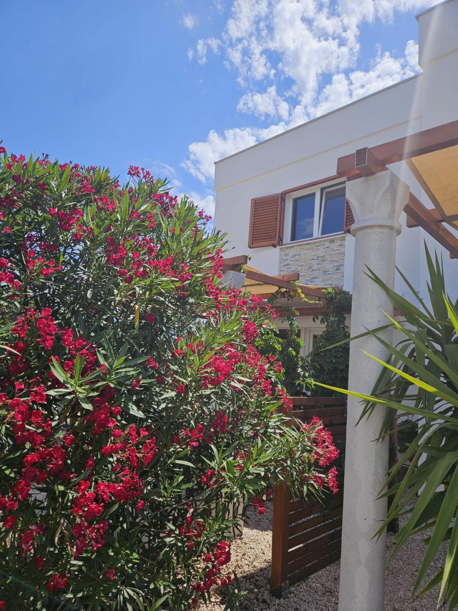 Apartments Cvijet Mora Сресер Екстериор снимка